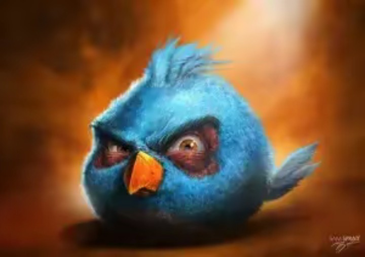 Create meme: Angri Birds The Bluebirds, angri birds realistic, The bird from the Angri Birds