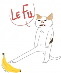 Создать мем: cat, бананья кот, кошка