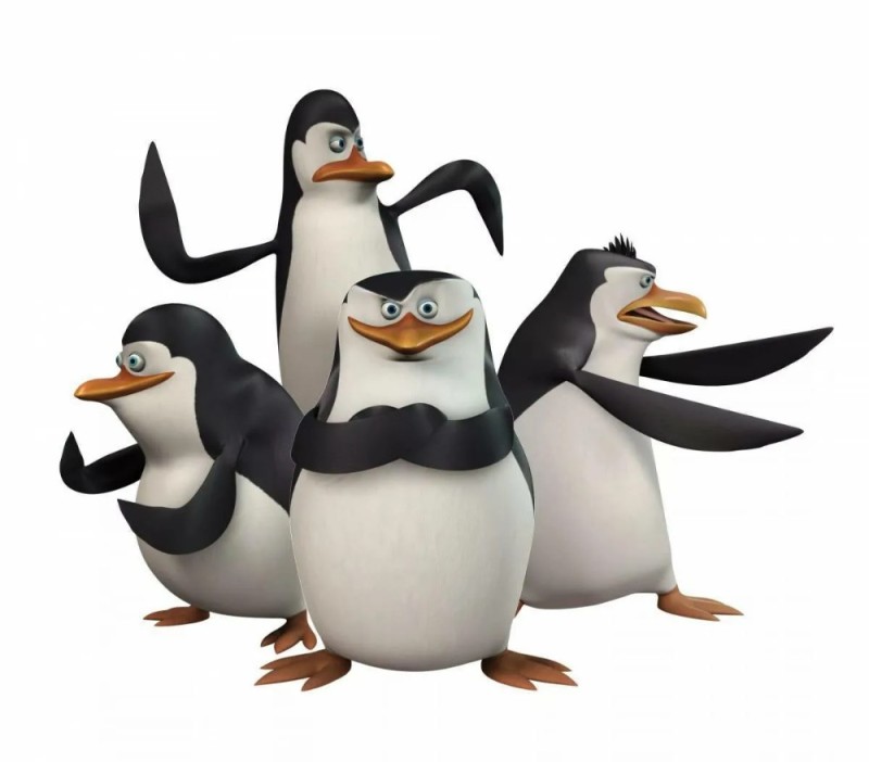 Create meme: the penguins of Madagascar skipper, penguins of Madagascar skipper, the Madagascar penguins