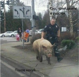 Create meme: fun, riding on a pig, pig