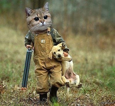 Create meme: cat with a gun, people , Tom the cat is a hunter