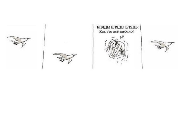 Create meme: Seagull comics, meme with seagulls, a meme with birds