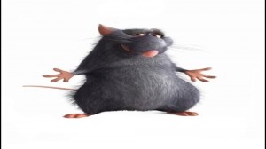 Create meme: oops your mother's Ratatouille, Ratatouille, Ratatouille rats