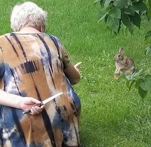 Create meme: rabbit, grandmother with a knife and a rabbit