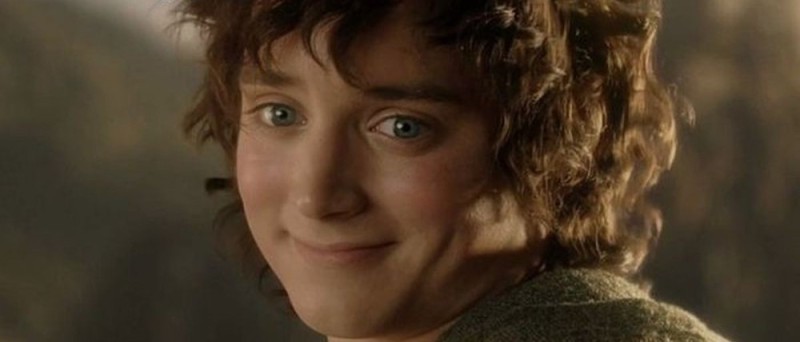 Create meme: the Lord of the rings the hobbit, the hobbit Frodo, Frodo from Lord of the rings