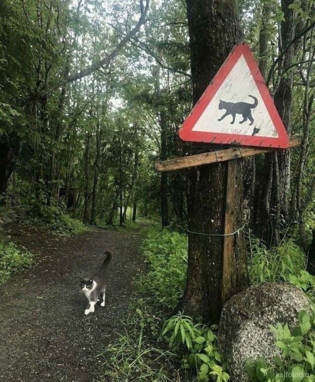 Create meme: funny road signs , funny road signs, unusual road signs