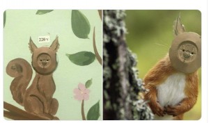 Create meme: a squirrel with a nut, squirrels, squirrel picture