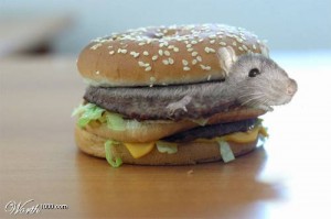 Создать мем: биг мак, rat, sandwich