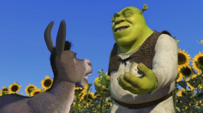 Create meme: donkey shrek, production of shrek, Shrek Shrek