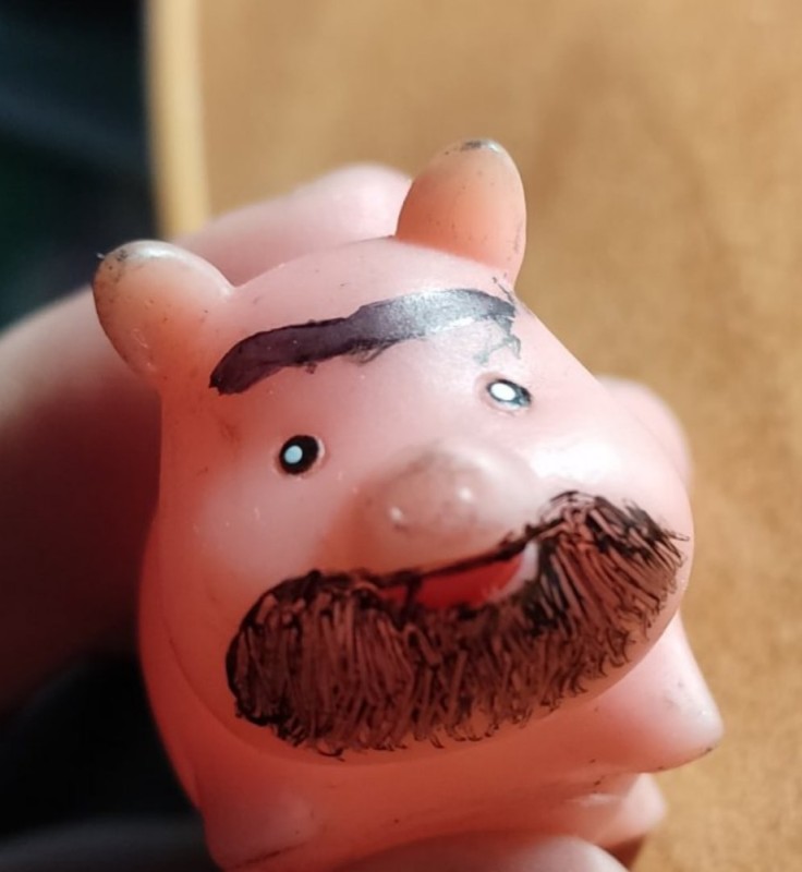 Create meme: toy pig, rubber cow toy, toy 