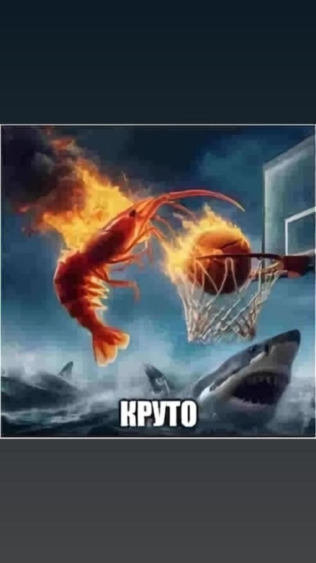 Create meme: Crazy basketball, Sharknado (Shark Tornado) (2013), picture basketball