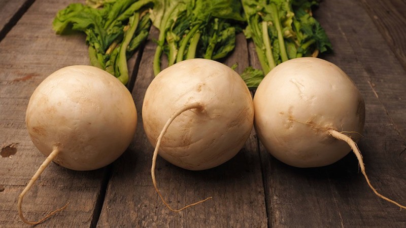 Create meme: white radish, radish, white radish turnip