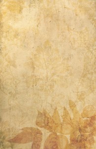 Create meme: background texture buff, background antique boomaga, vertical backgrounds of old paper