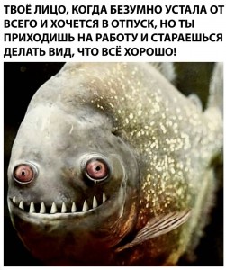 Create meme: fish, piranha evil, evil fish