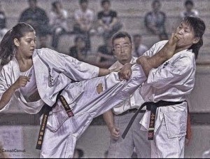 Create meme: Kyokushin, karate do