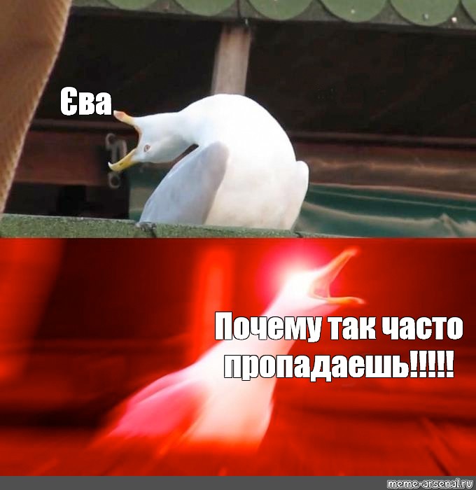 Постоянно пропадает. Почему так часто пропадаешь. Почему так частотпропадаешь. Почему так часто пропадаешь Мем.