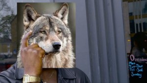 Create meme: grey wolf, wolf