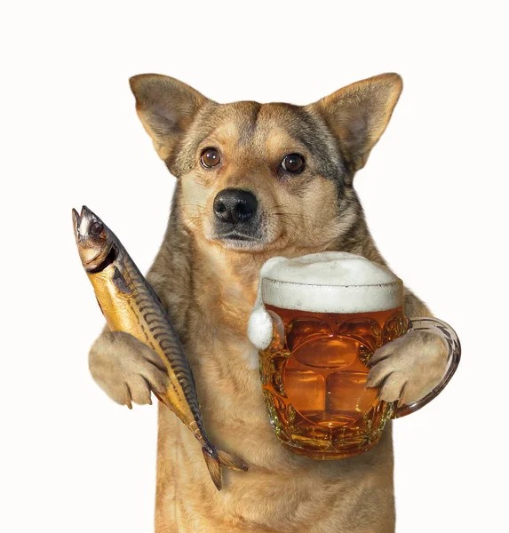 Create meme: dog with beer, doggie with beer, dog with beer and sausages