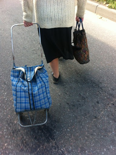 Create meme: trolley bag, shopping bag trolley, granny with a wheeled bag