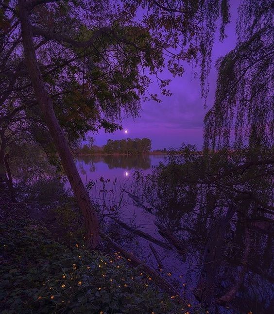 Create meme: purple sunset, lilac sunset, purple sunset