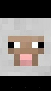 Create meme: head minecraft png, minecraft sheep, head resident from minecraft