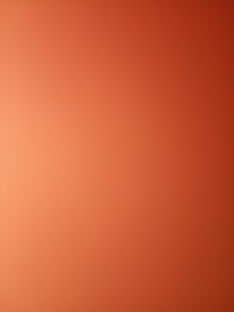 solid bright orange background