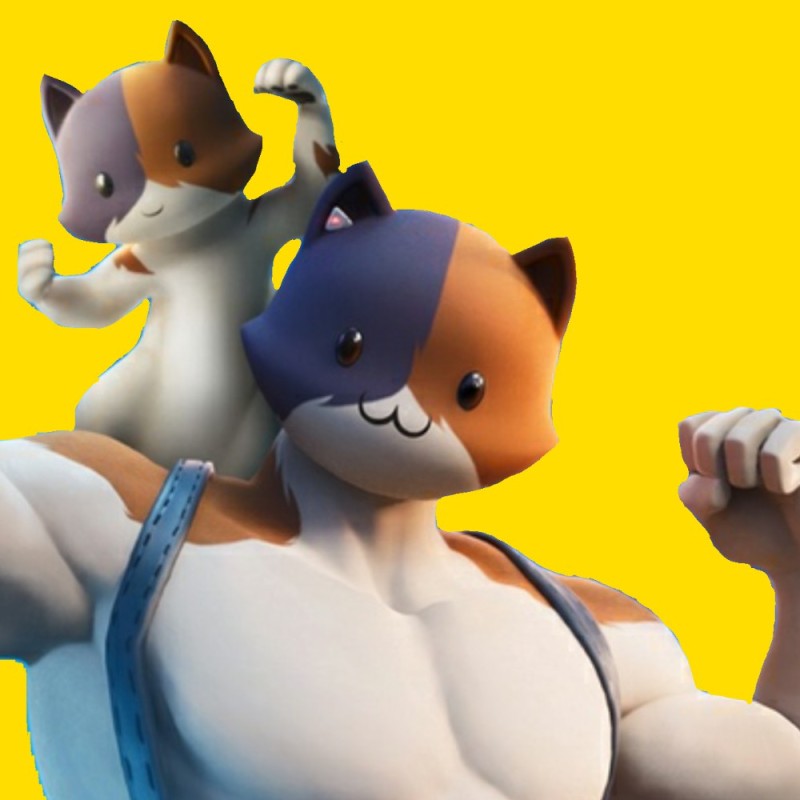 Create meme: Mr. muscle fortnight, Muscle fortnight, meowscles fortnight