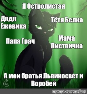 Коты воители картинки мемы