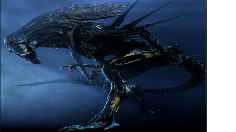 Создать мем: alien vs predator королева чужих, чужие, xenomorph