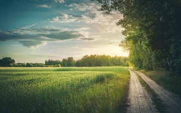 Создать мем: поле дорога, пейзаж, пейзаж с дорогой