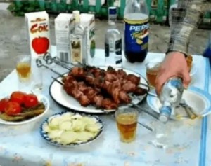 Create meme: pictures of the picnic kebab funny, feast on nature, kebab and vodka photos