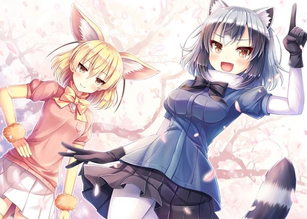 Создать мем: аниме, аниме арты, silver fox kemono friends