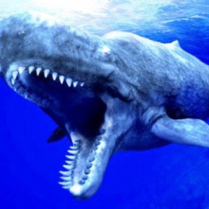 Создать мем: акула мегалодон, youtube haqida malumot, моби дик и мегалодон