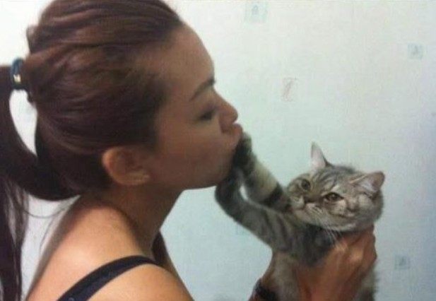 Create meme: cat girl, kissing cats, A girl hugs a cat