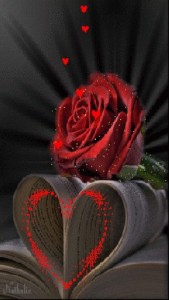 Create meme: flowers red roses, roses, beautiful rose red