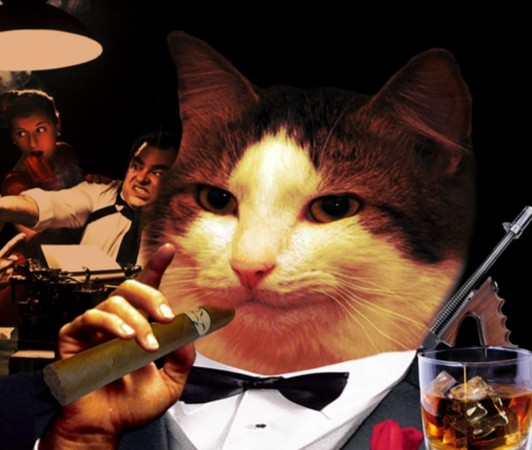 Create meme: cat , mafia cats, cat mafia