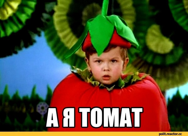 Создать мем: я помидор фруктовый сад, детский костюм помидора, я томат