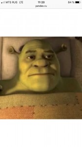 Create meme: memes, people, Shrek