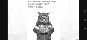 Создать мем: кот с плакатом, милые кот, кошки