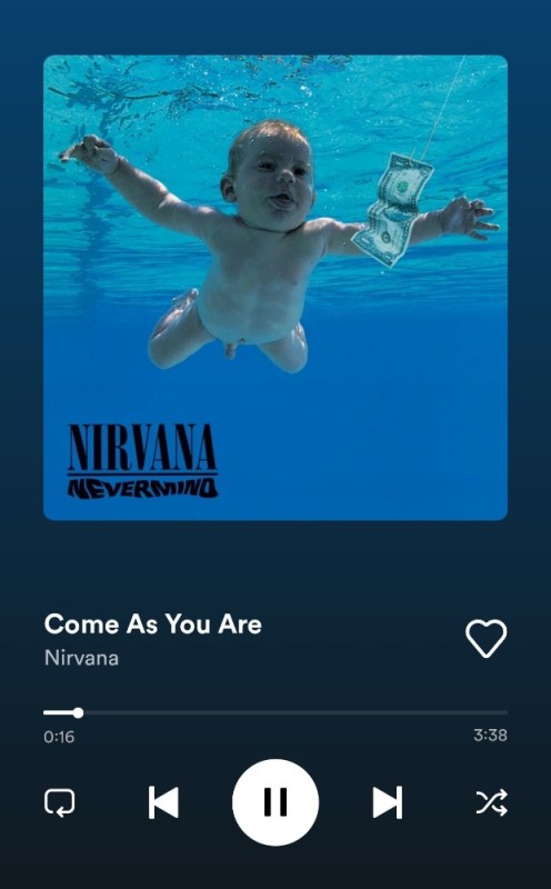 Create meme: nirvana nevermind cover, nevermind nirvana, Nirvana nevermind