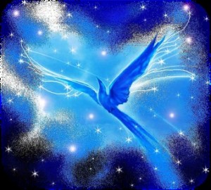 Create meme: blue, the blue bird a symbol of happiness, the bird of happiness