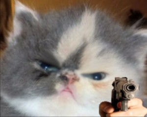 Create meme: cute animals, cat with a gun, cat funny