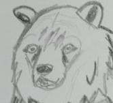Создать мем: рисунок медведя легкий, рисунок медведя для срисовки, медведь карандашом