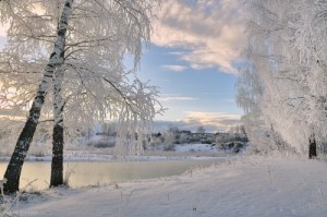 Create meme: the snow fell, frost, Kostomuksha winter