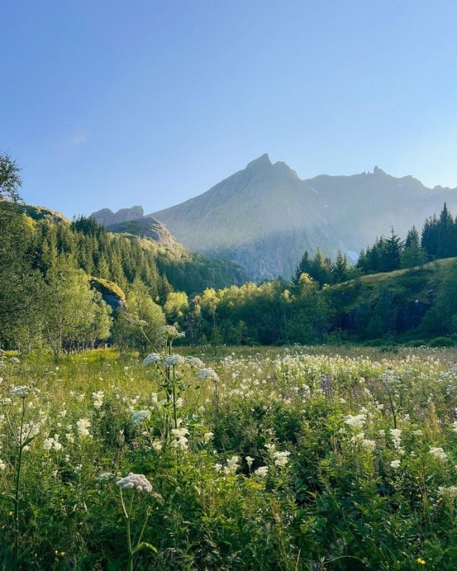 Create meme: alpine meadows switzerland alpine meadows switzerland, Alpine meadows of Switzerland, Lagonaki fisht mountains