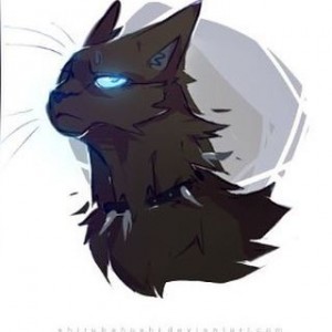 Создать мем: коты воители арты аниме, кот воитель бич арты, картинки котов воителей river spirit