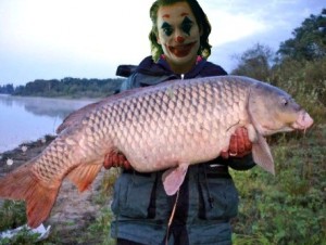 Create meme: carp, carp