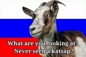 Create meme: goat, funny goat, goat