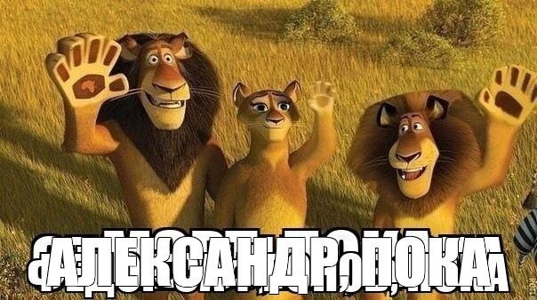 Create meme: heroes of madagascar, Madagascar 2 lion, lion Madagascar