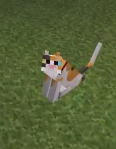 Create meme: mod, minecraft